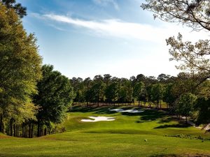 Course Management